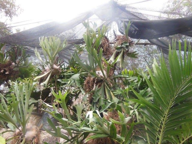 Finca Campestre El Olindo